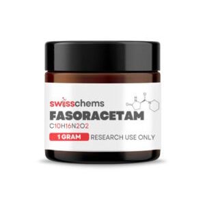 Fasoracetam – Powder, 1 gram